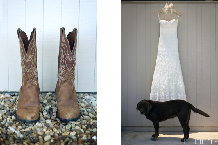 Bride Cowboy Boots, Strapless wedding dress, Cute wedding dress picture with dog